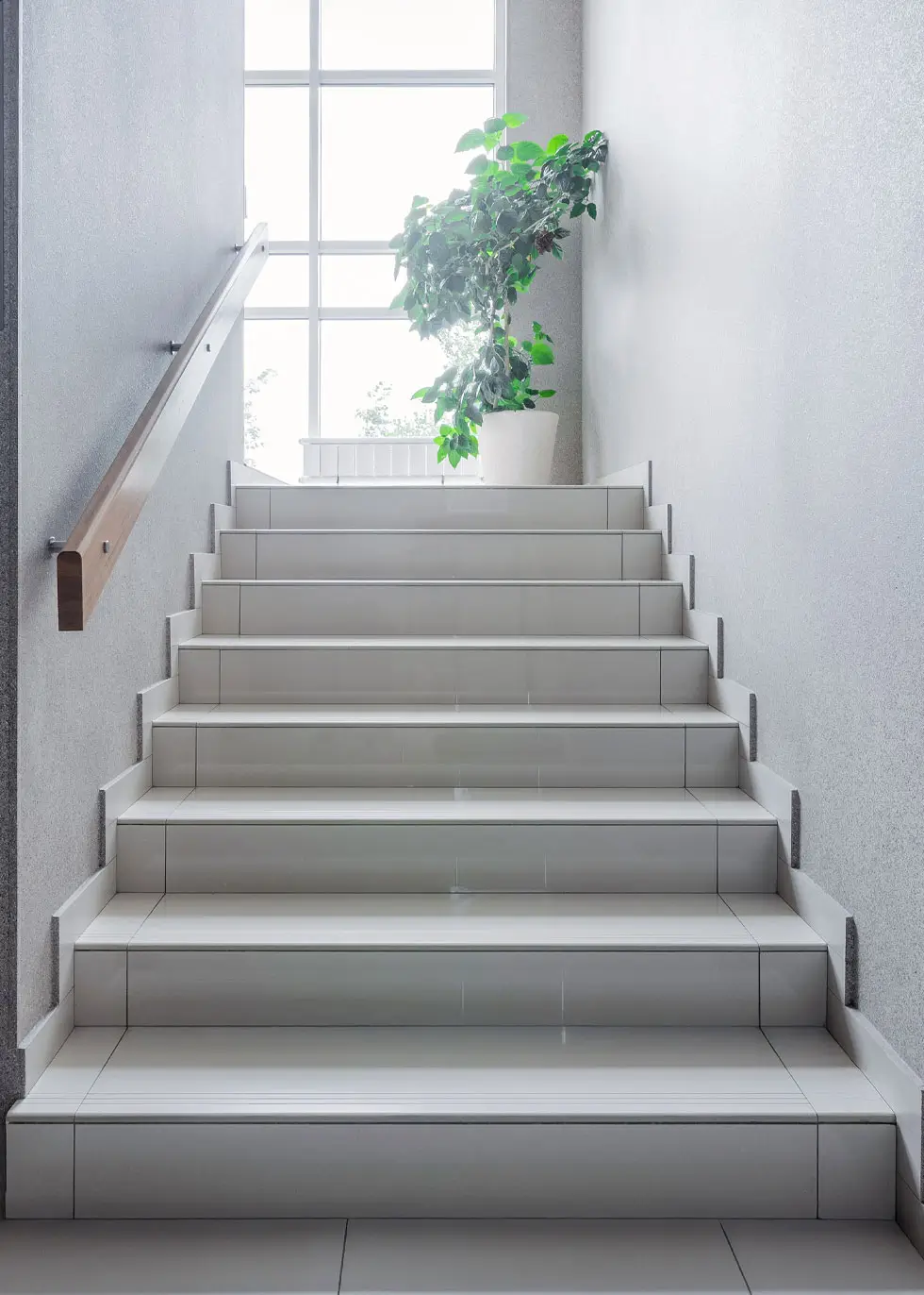 Helle Treppe mit Fliesenstufen, links Handlauf und oben ein großer Fensterbereich mit einem Topfpflanze davor